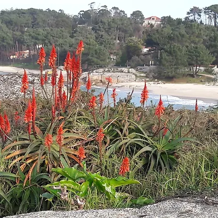 Torres Tourino Отель 2*