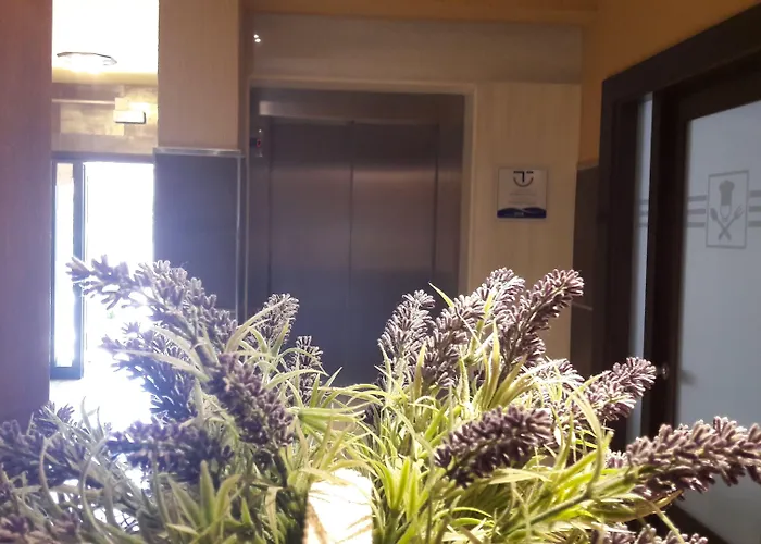 酒店 托雷斯途锐诺酒店 桑亨霍