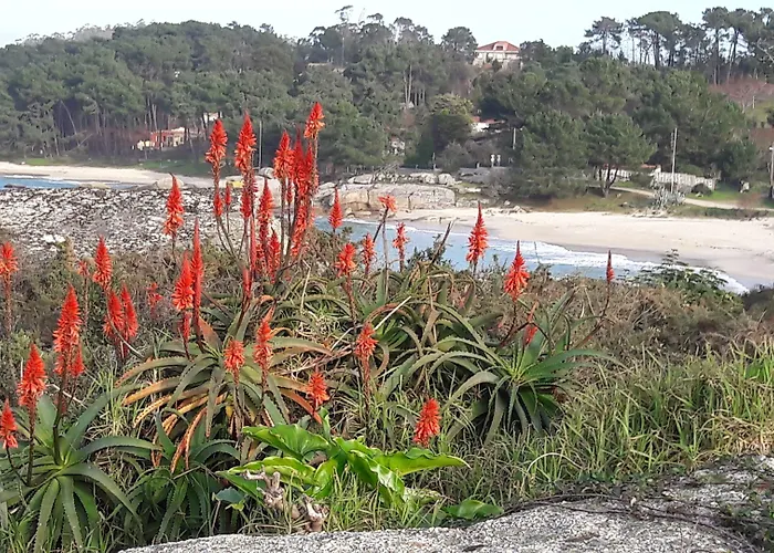 托雷斯途锐诺酒店 酒店 2*