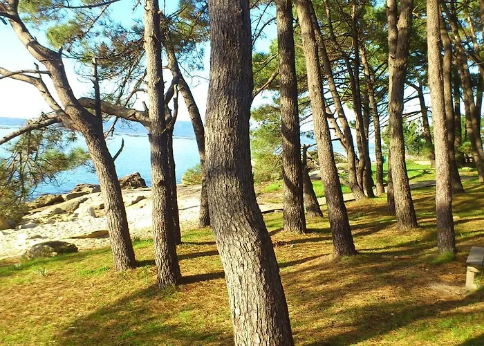 Отель Torres Tourino