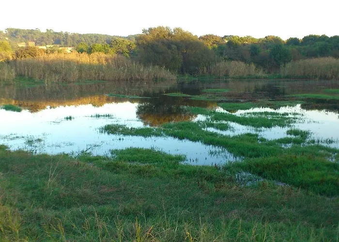 酒店 托雷斯途锐诺酒店 桑亨霍